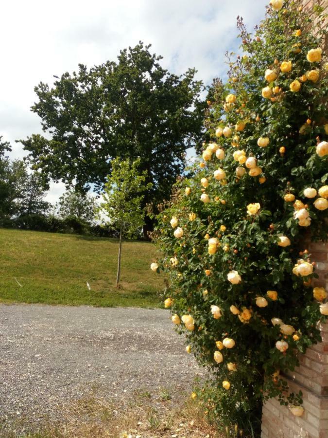 Agriturismo Ca' Preda Vila San Giorgio Piacentino Exterior foto