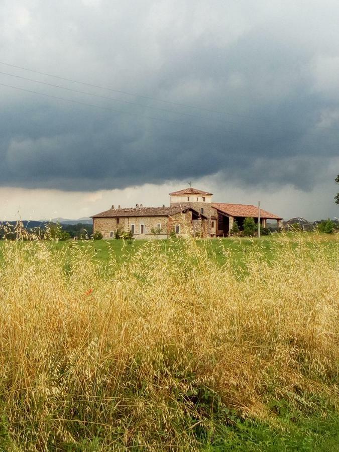 Agriturismo Ca' Preda Vila San Giorgio Piacentino Exterior foto